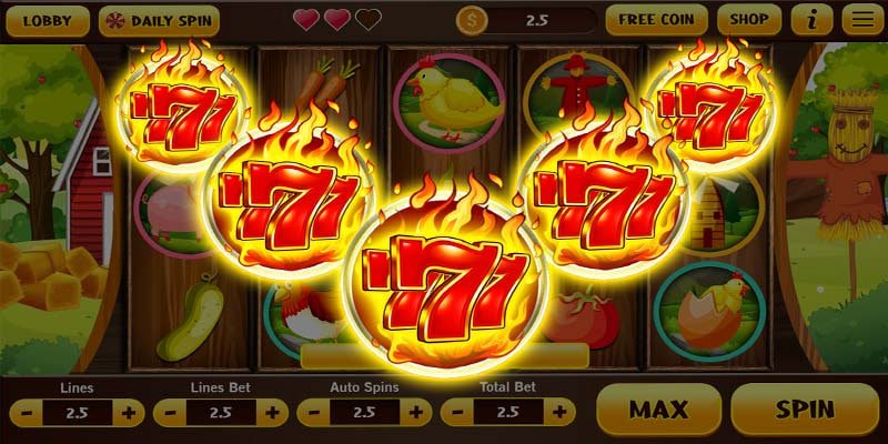6655bet6 login